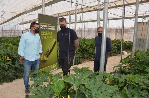 Los técnicos de Syngenta explicando a los agricultores.