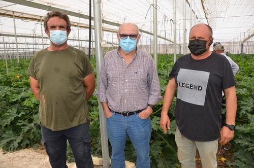 Agricultores de calabacín del Poniente.