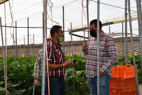 El técnico de Murgiverde, Paco Fernández, con Javier Lirola, agricultor de calabacín y dueño de la finca que se visitó