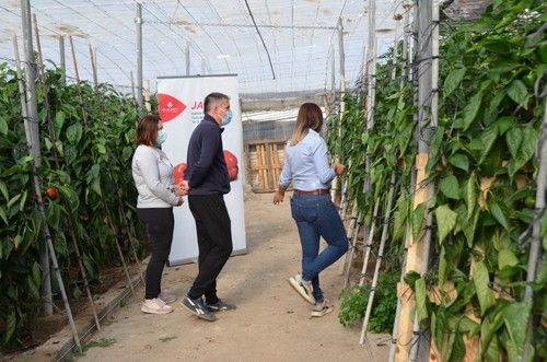 Recorriendo la finca ubicada en Adra.