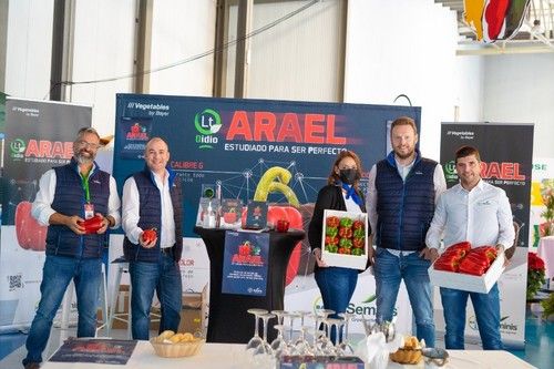 El equipo de Seminis posando con sus variedades estrella como el pimiento lamuyo Baquero y Arael, una de las últimas incorporaciones en su catálogo de California