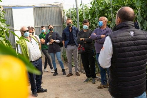 Hazera España presentó sus tres variedades de California para el campo virgitano, Insignia, Evoke y Patrol.