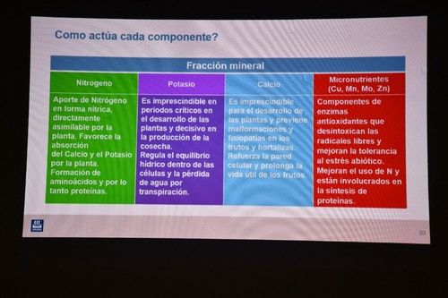 Los componentes en acción