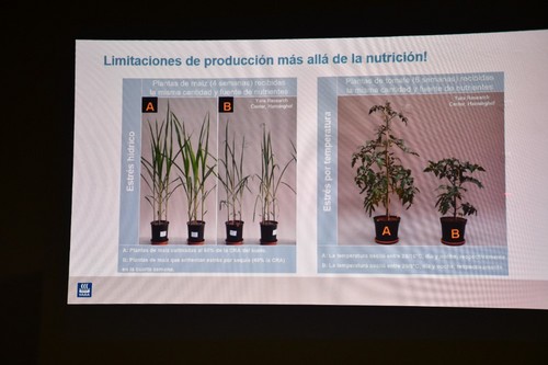 Limitaciones de nutrición más allá de la producción.