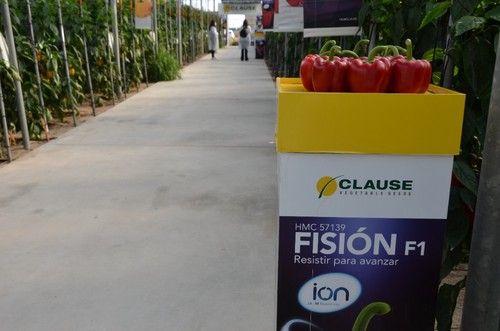 Fisión es para trasplantes del 5 de julio hasta finales de ese mes.
