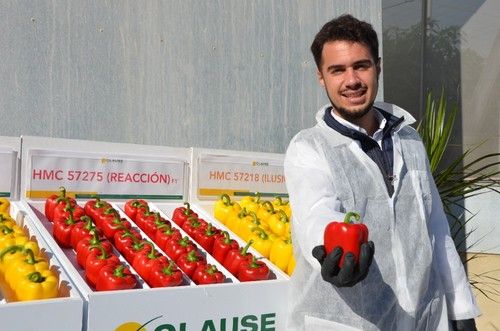 José Miguel Reyes, responsable de Marketing y Comunicación de HM.CLAUSE.