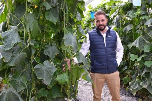Daniel Montoro, comercial en Hazera España.