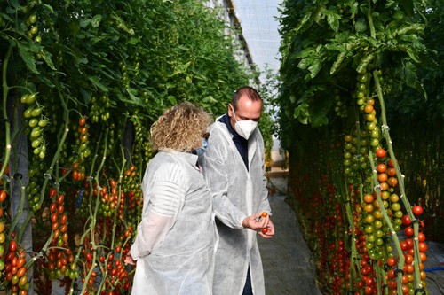 David Herzog, de Rijk Zwaan, mostrando algunos cherry a una visitante al evento