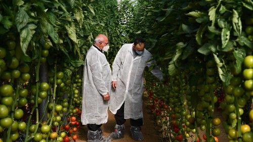 Agricultores viendo las variedades