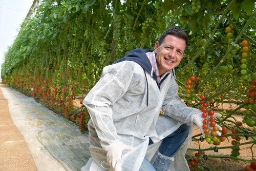Manuel Hernández, especialista de tomate de Rijk Zwaan