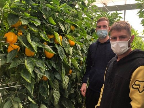 Juan José Fernández y Serafín Criado, agricultores asistentes a la jornada junto a una de las variedades de California amarillo.