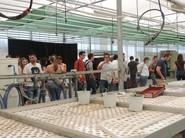 Los alumnos vieron las diferentes partes del proceso de producción