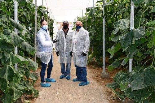 Los agricultores de la zona disfrutan de esta jornada tan especial para SAKATA.