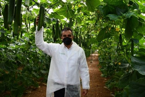 Germán Victoria, product manager de pepino, explica las características de IZAL.