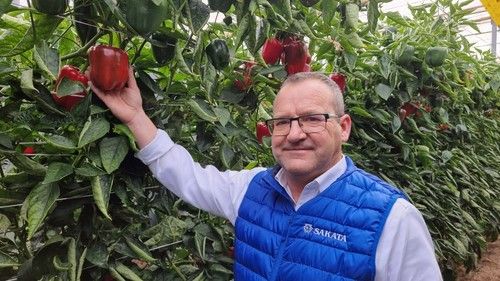 Javier Pérez, Product Promoter de solanácea para SAKATA Seed Iberica.