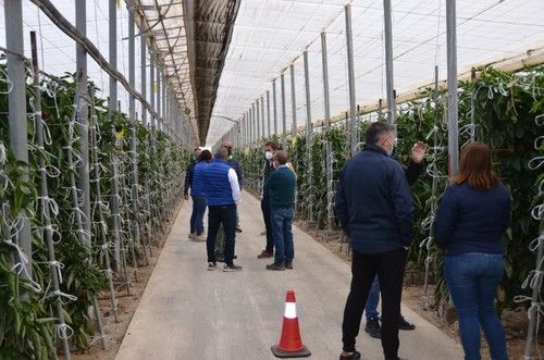 Durante dos días decenas de agricultores se acercan a la finca para comprobar en primera persona el buen comportamiento de Sibac.