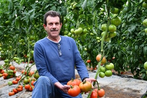 José Antonio Cabello, agricultor de la zona de Vélez Málaga