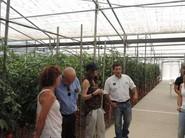 José Luis López, representante de Cosmocel Ibérica en Almería, Granada y Málaga, explicando los beneficios de cosmocel en una finca tratada en parte con productos de la firma y en parte con la manera convencional.