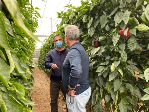 Javier López junto al agricultor Juan Adán, hablando sobre el cultivo