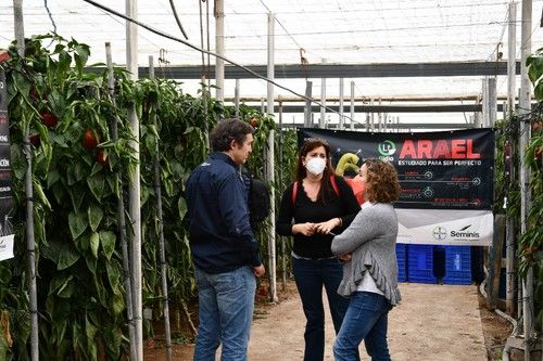 Visitantes en la última jornada de Seminis en Tarambana, El Ejido.