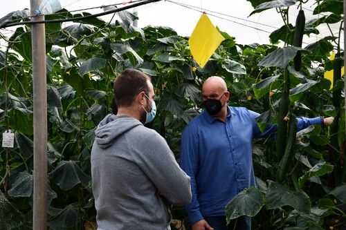 Juan Diego Martínez, de Syngenta, comenta las características de Viggo.