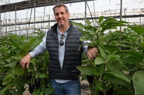 Jorge Gómez, técnico comercial de Meridiem Seeds