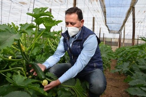 De Pietra destaca su buena conservación.