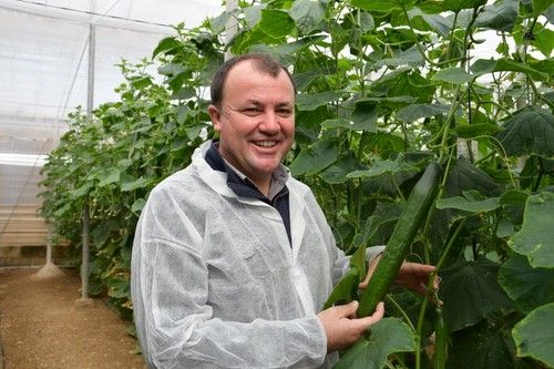 Paco Pino, delegado comercial de Rijk Zwaan mostrando la variedad