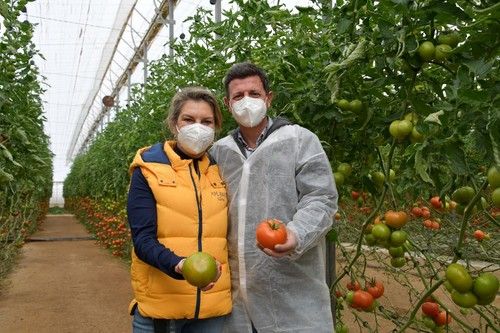 María del Mar Gimeno y Manuel Hernández, de Rijk Zwaan