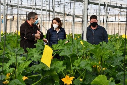 Beatriz Palmero explica la variedad a los agricultores asistentes.