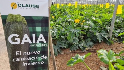Una de las fincas donde se realizó la demostración estaba ubicada en San Agustín (El Ejido).
