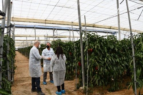 Algunos de los visitantes que han pasado por las jornadas