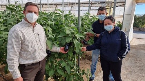 Paco Archilla, agricultor propietario de la finca, con otros productores.