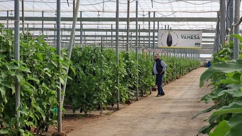 Una de las fincas en la que se realizó la jornada.