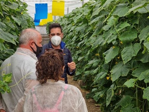 Explicaciones de la variedad a los asistentes.