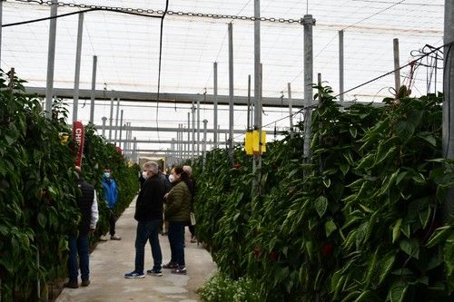 Un grupo de agricultores contemplando las variedades.