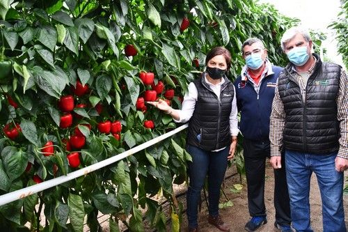 Ana Garcés, comercial en Hazera España de la zona del Poniente junto a dos agricultores asistentes a la jornada.