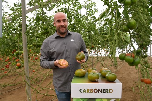 Carlos Fernández, de Semillas Fitó, con frutos de la variedad Carbonero.