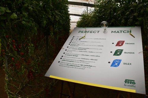 Un divertido juego para encontrar el portainjerto con el que hacer 'perfect match'
