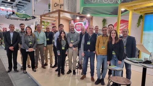 Equipazo de Semillas Fitó
