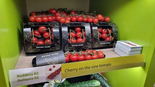 Rijk Zwaan exhibe algunos de sus productos estrella