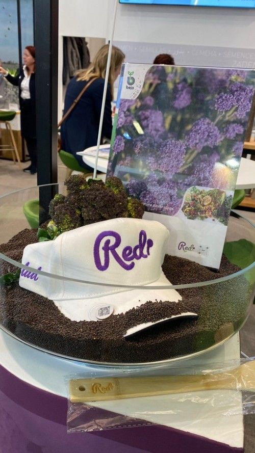 Redi, de Bejo. Caterina Pak