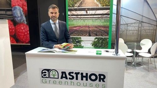 Gustavo Álvarez Pérez, manager de Asthor Agricola