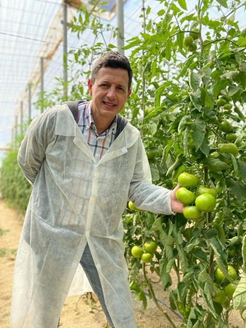Manuel Hernández, especialista de cultivo de tomate de Rijk Zwaan