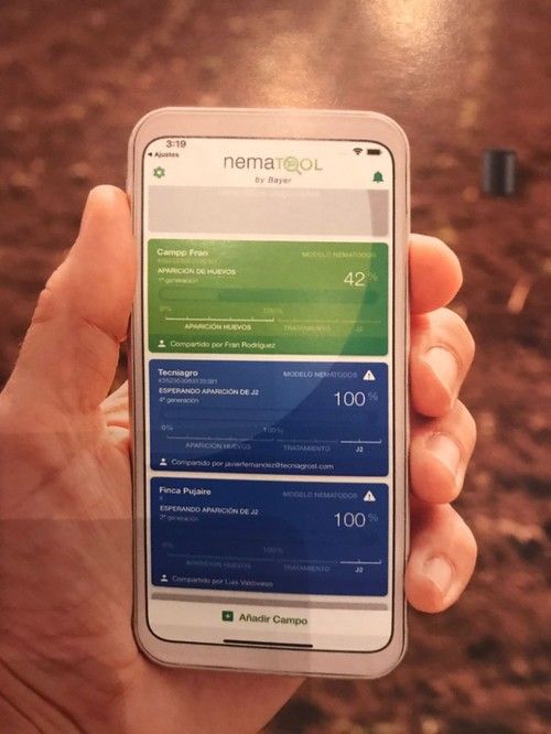 Aplicación de Bayer para controlar los nematodos.