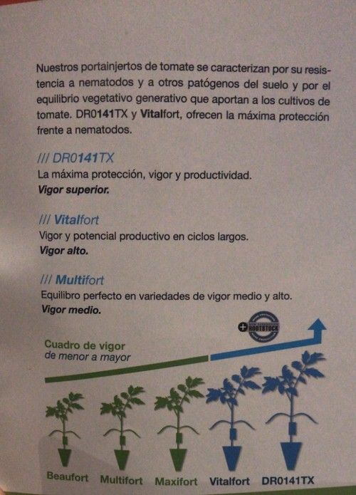 Los porta de Bayer (De Ruiter) para resistir el ataque de los nematodos.