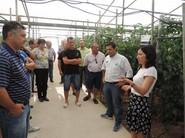 María Dolores Fernández, de la Estación Experimental de las Palmerillas de la Fundación Cajamar, explicando a los agricultores la evolución del cultivo.