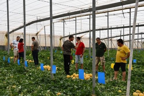 Numerosos agricultores y técnicos asistieron a esta jornada en El Ejido