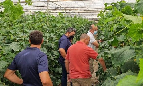 Miguel Ángel Jiménez muestra la variedad a los asistentes.