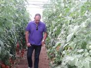 Otro agricultor en un líneo.